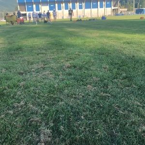 Meet your Posher, Macy